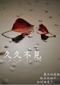 久久不见久久见海南话